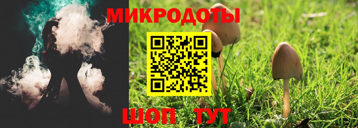 Галлюциногенные грибы Psilocybe Серов